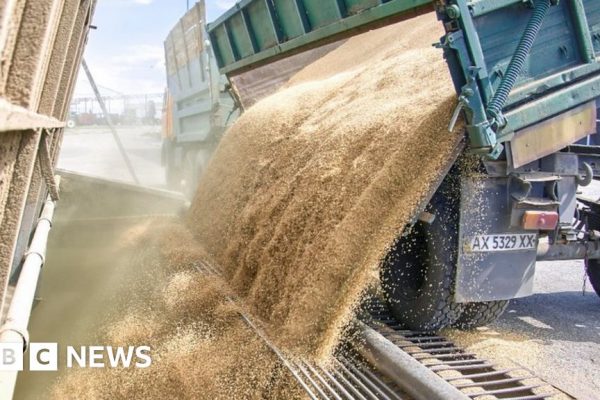 A deal has been reached in order to resume exports of grain from Ukraine through the Black Sea.