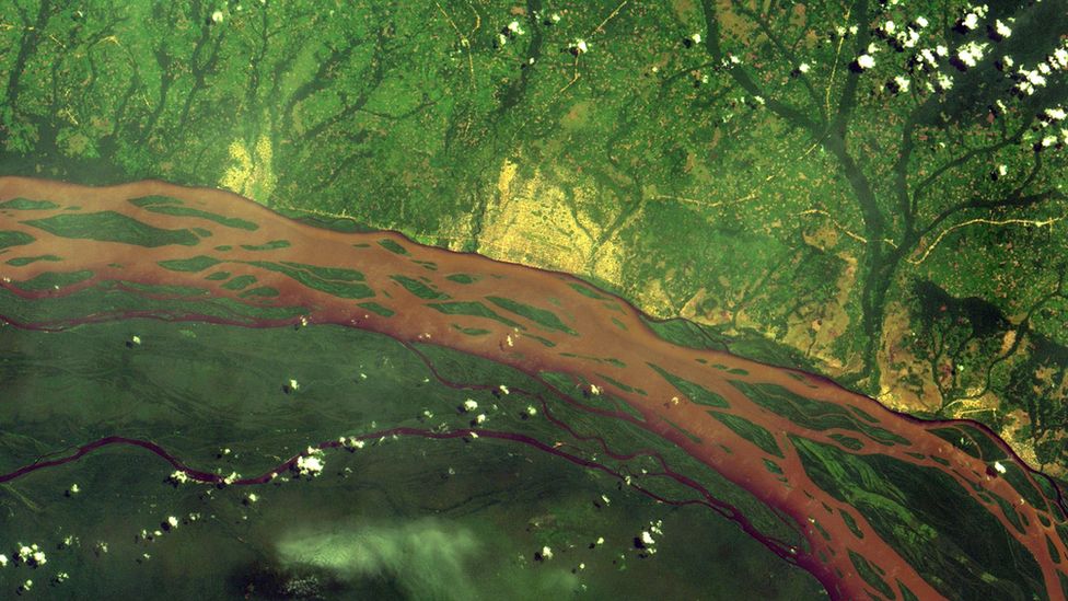 A remote sensing image of a section of the Congo river and surrounding forests
