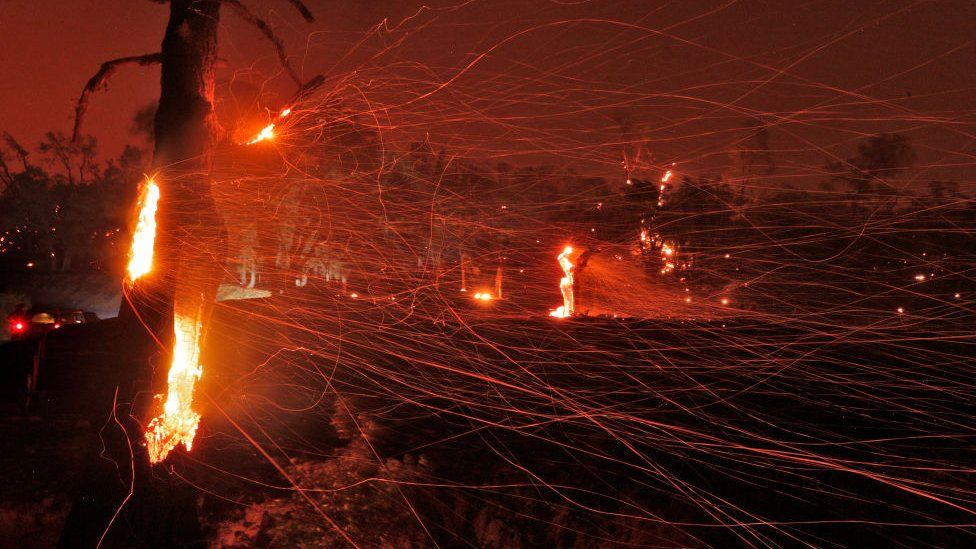 Causes Of Deadly Dry Lightning Wildfires Revealed Business Magazine 24 