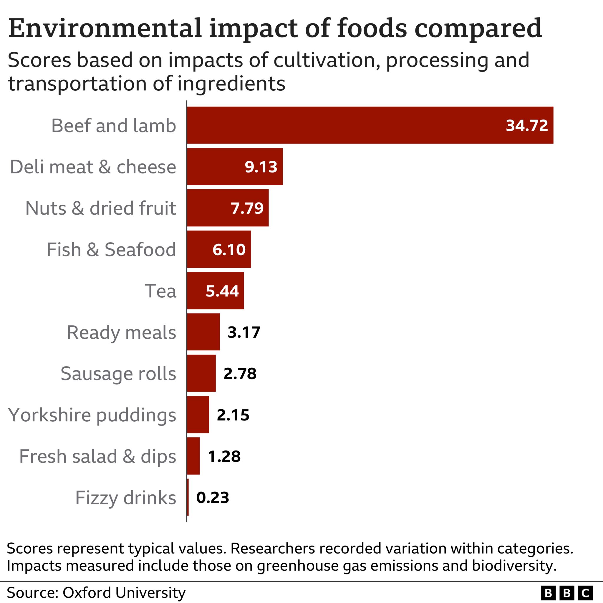 Environmental Impact Graphic