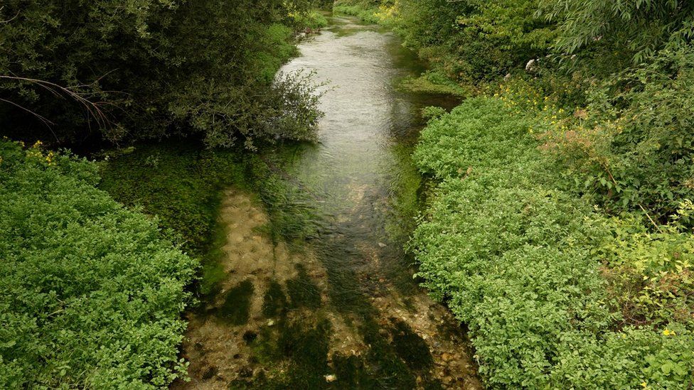 River Anton, Hampshire