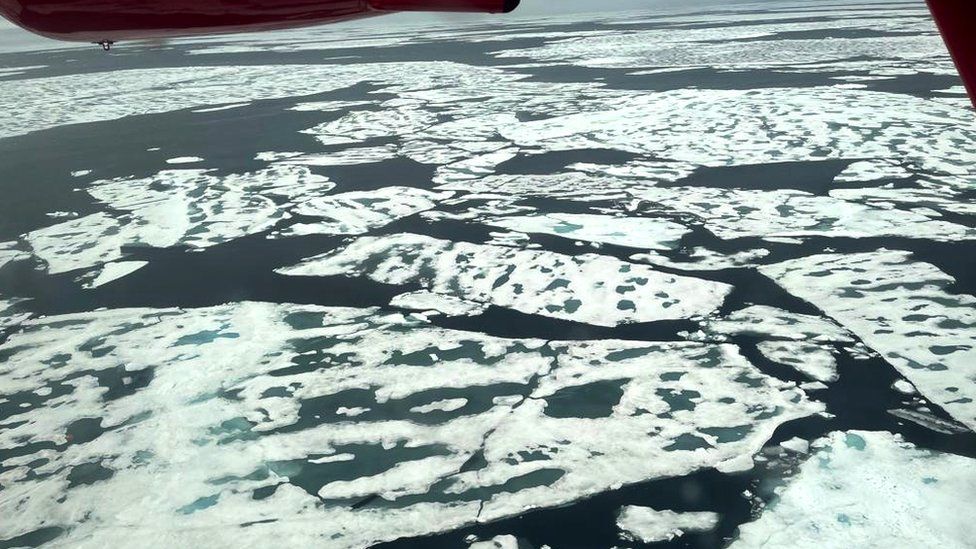 View of the sea ice from the research aircraft