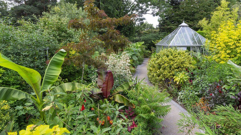 Winding path through tropical plants leading to an ornate glass greenhouse