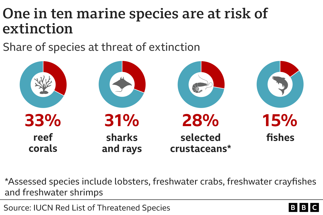 Diagram showing the threat to extinction for different marine species