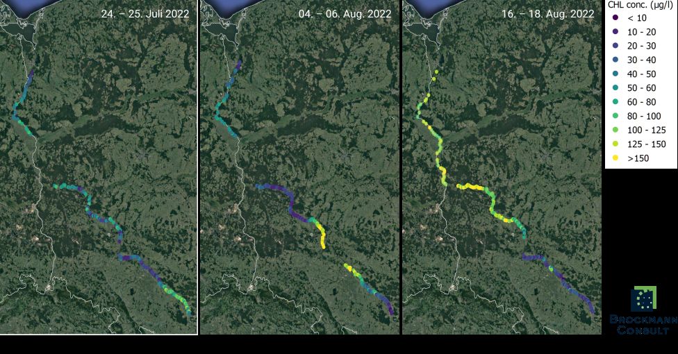 Satellite data shows the build-up of algae along the Oder River