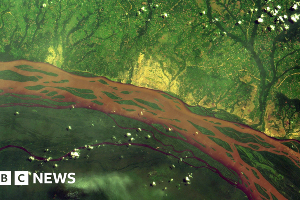 The space tech helping to tackle deforestation