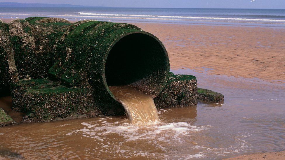 fresh-wave-of-sewage-pollution-hits-britain-s-beaches